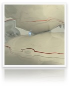 collage_image