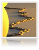 collage_image